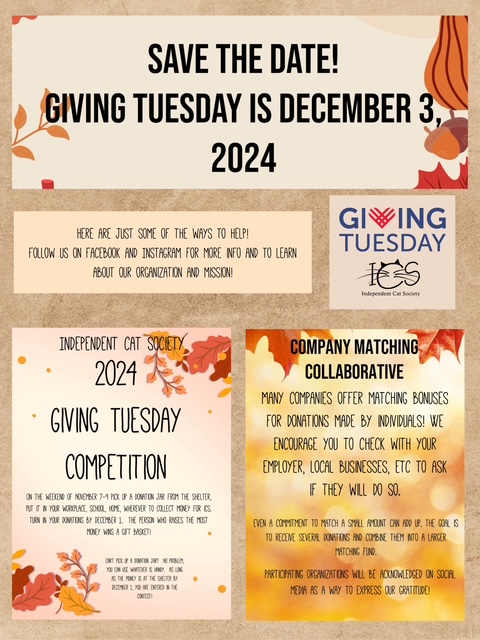 Giving Tuesday Dec 3